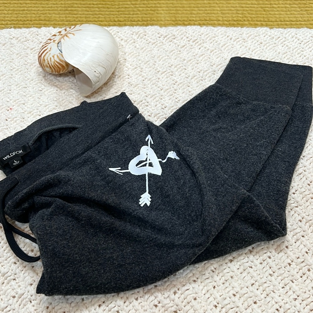 Wild fox gray sweatpants! Size Large and feel like a dream!